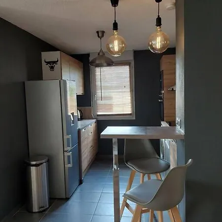 アパート 65 M² Avec Piscine. トゥール