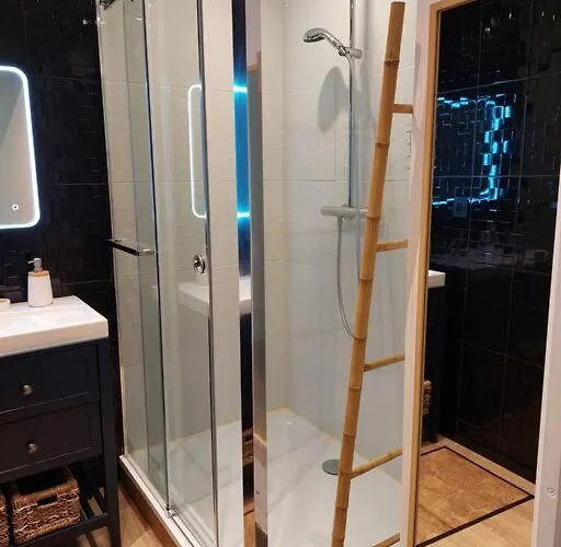 Appartement 65 M² Avec Piscine. Tours