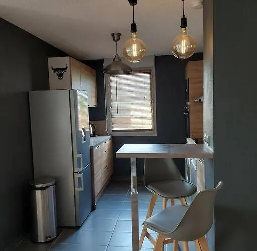 Appartement 65 M² Avec Piscine. Tours